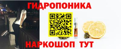 a pvp Можга