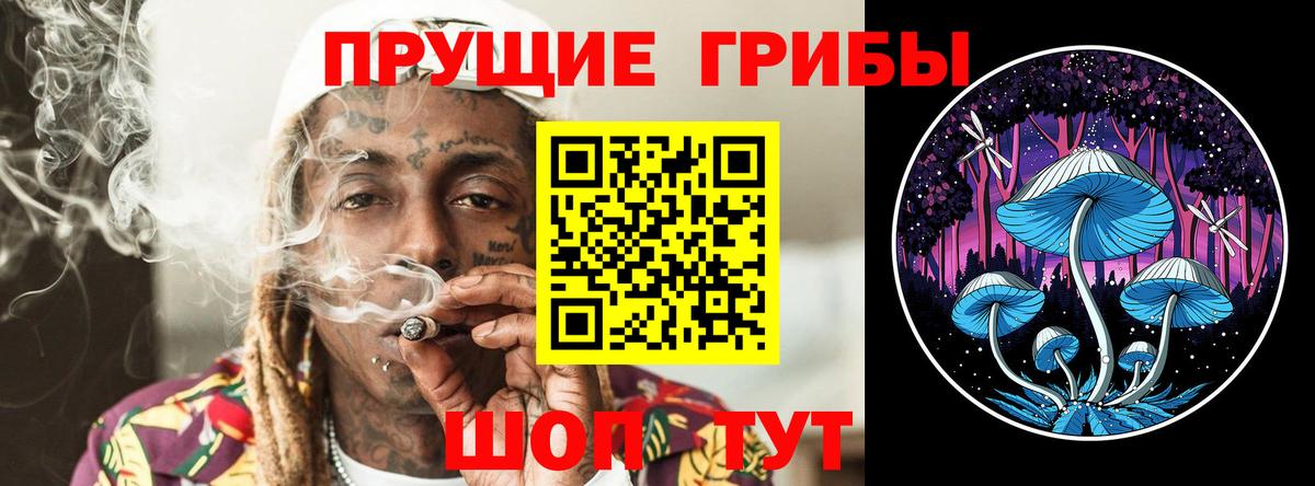 Псилоцибиновые грибы MAGIC MUSHROOMS  Галлюциногенные грибы MAGIC MUSHROOMS  Бердск  Вход с VPN 