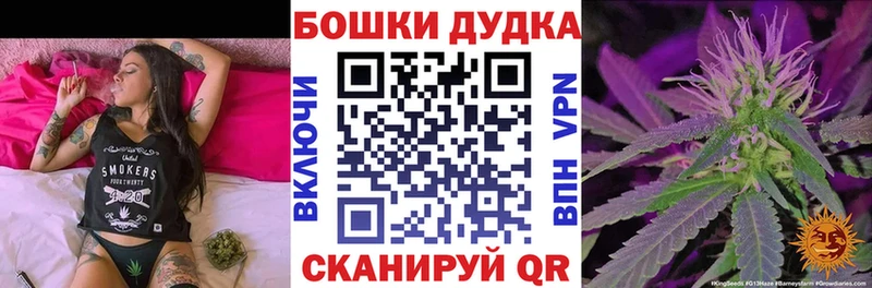 Конопля AK-47  закладка  Бердск 